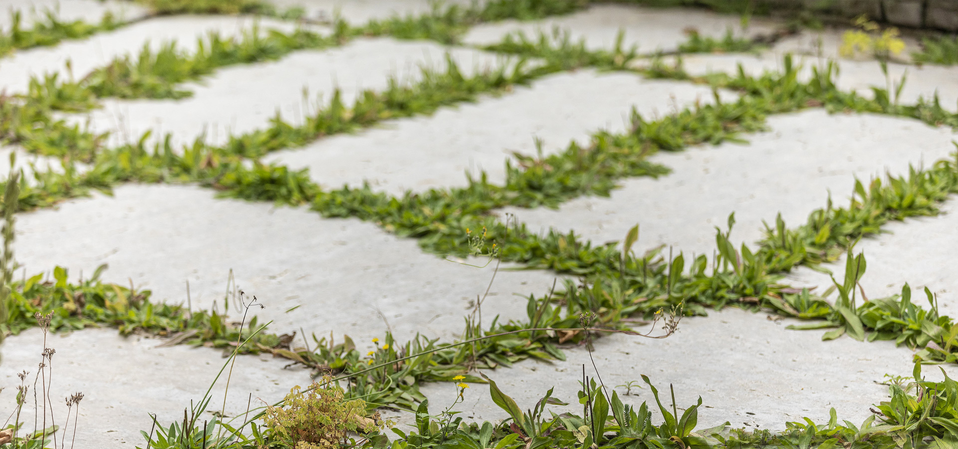 Gartenhof K�sters - Privatgarten D�sseldorf VIII