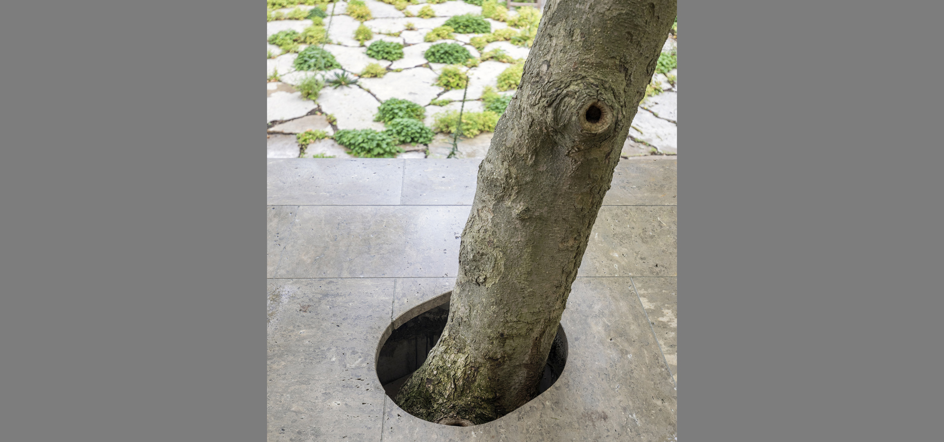 Gartenhof K�sters - Privatgarten D�sseldorf VIII