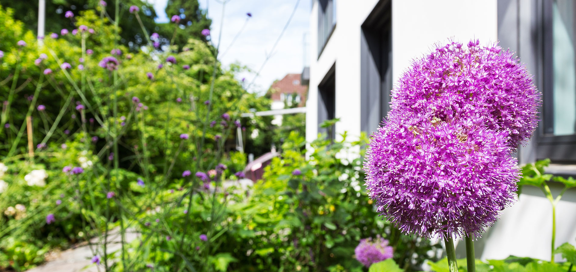 Gartenhof K�sters - Privatgarten K�ln II