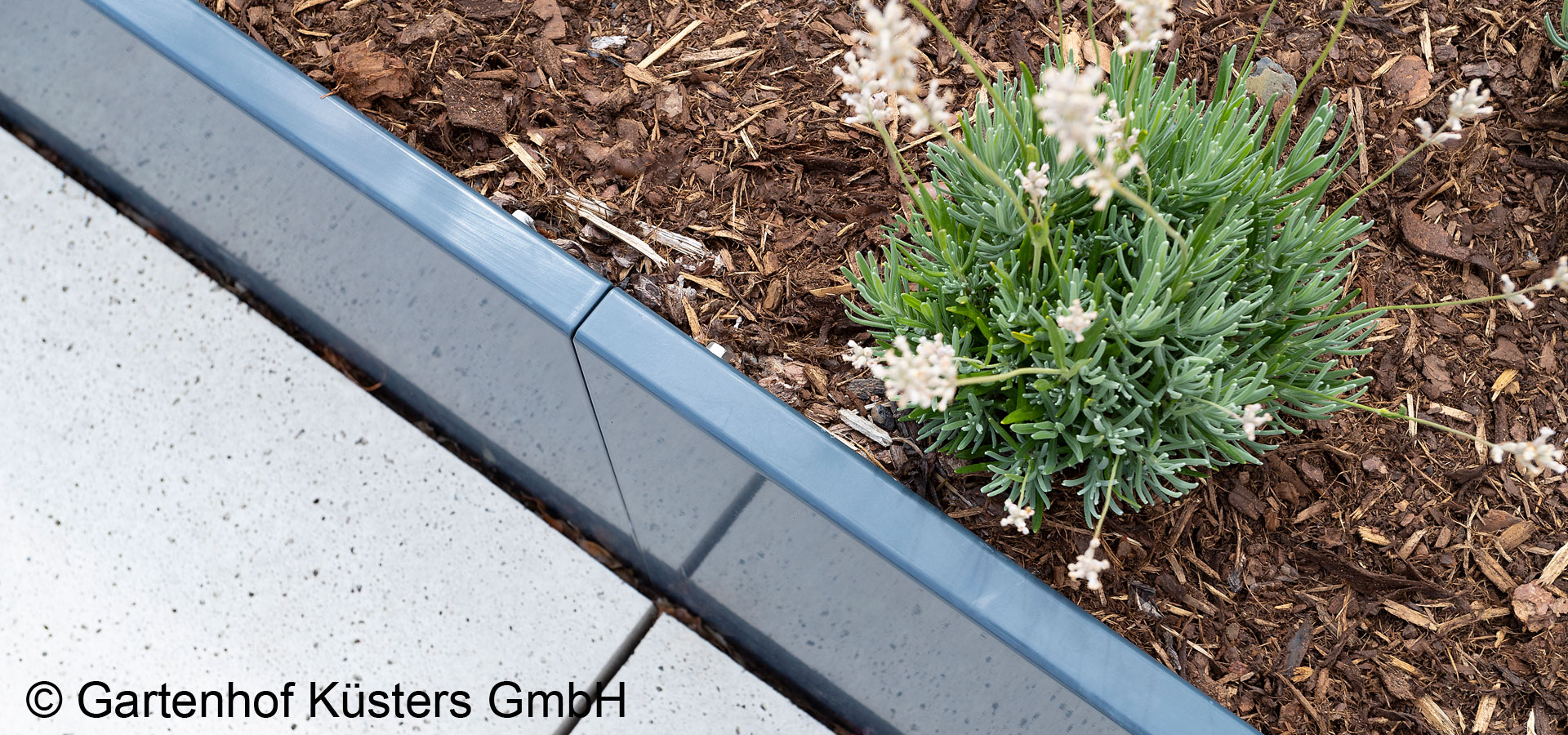 Gartenhof K�sters - Dachbegr�nung K�ln