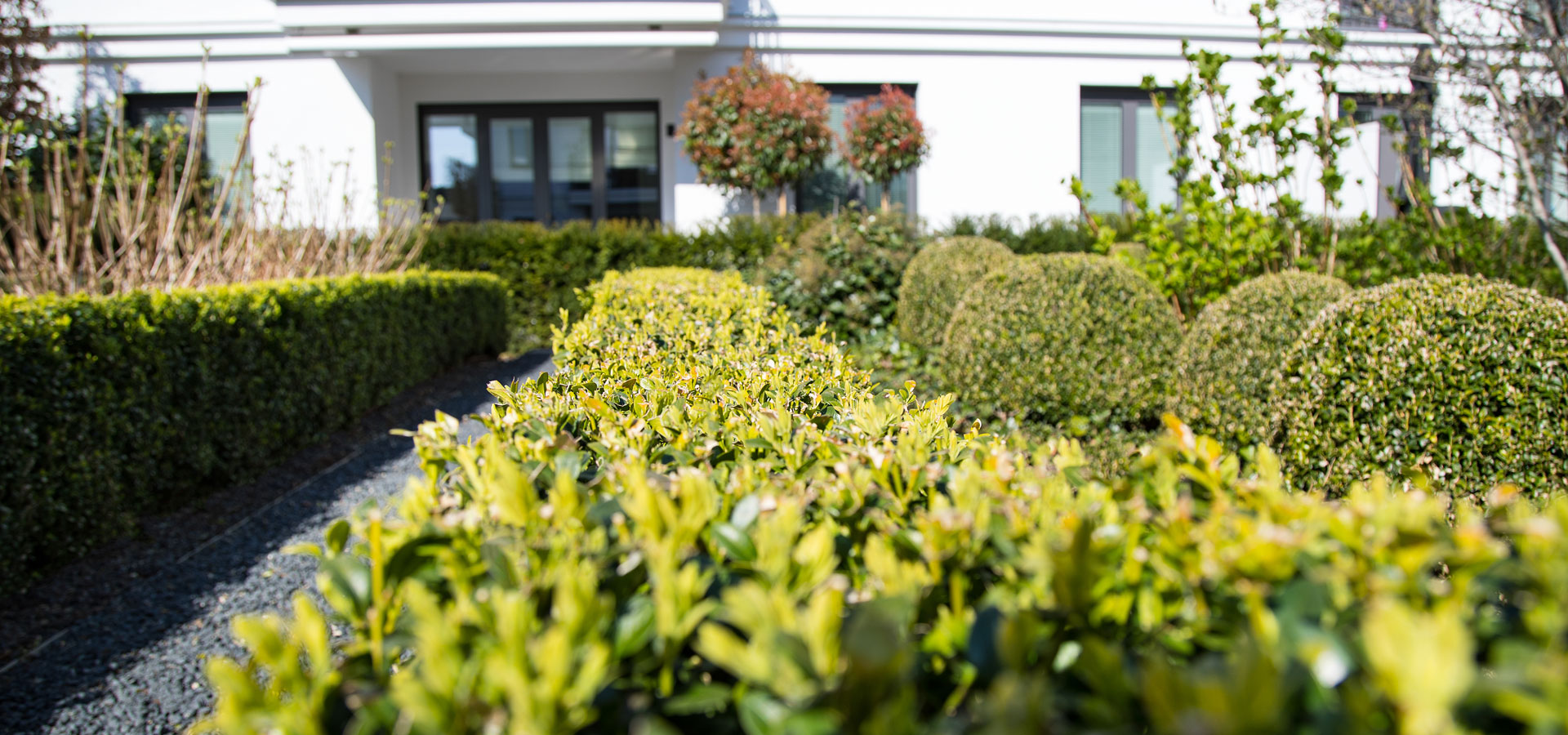 Gartenhof K�sters - D�sseldorf Magnoliengarten