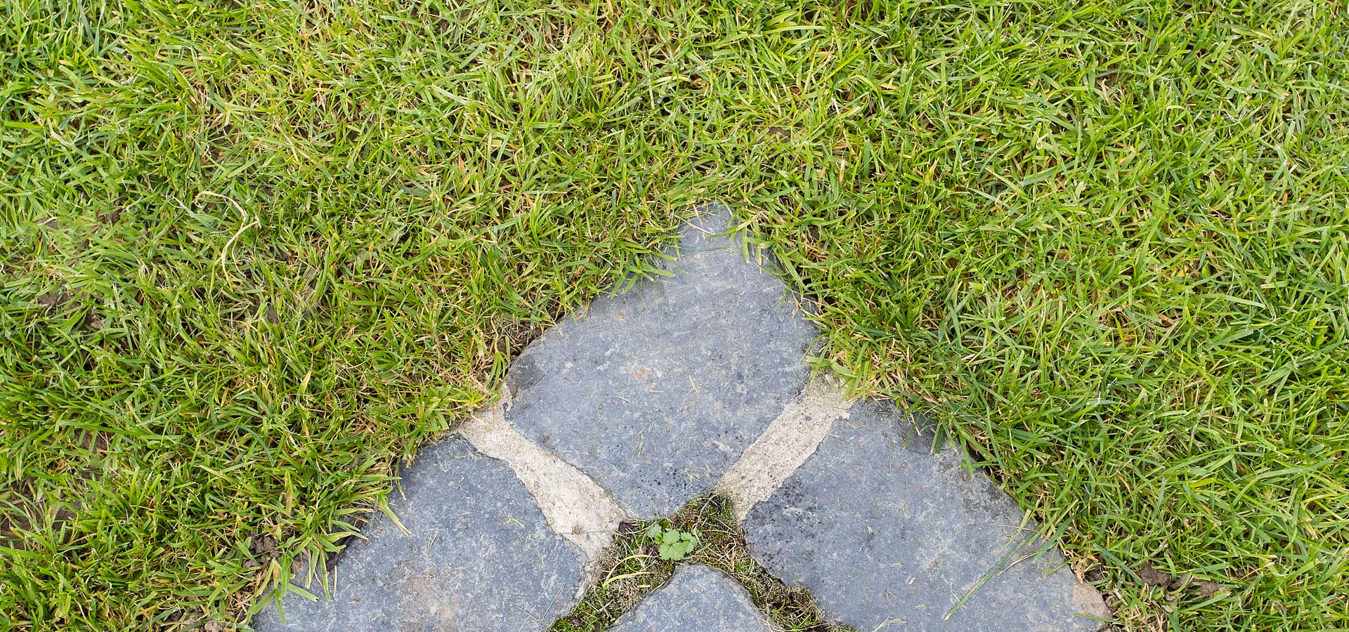 Gartenhof K�sters - Privatgarten Neuss II