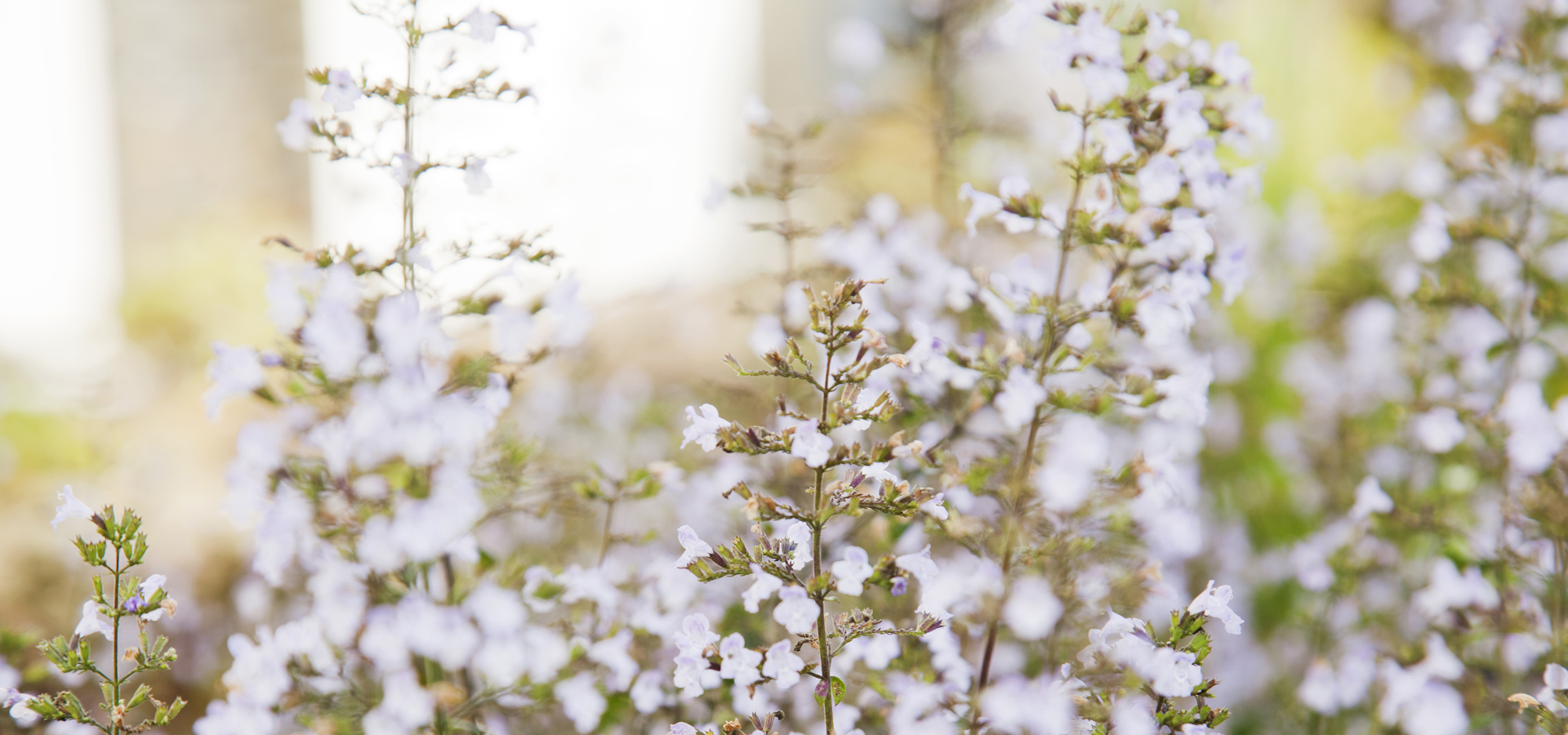Gartenhof K�sters - St. Augustinus Klinik, Neuss